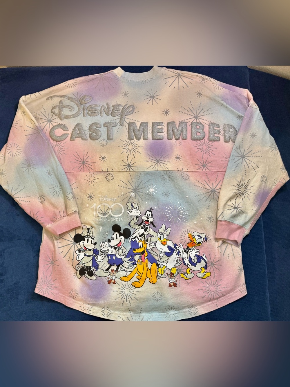 Disney Cast Member Exclusive 100 Years of Wonder Spirit Jersey Size L
